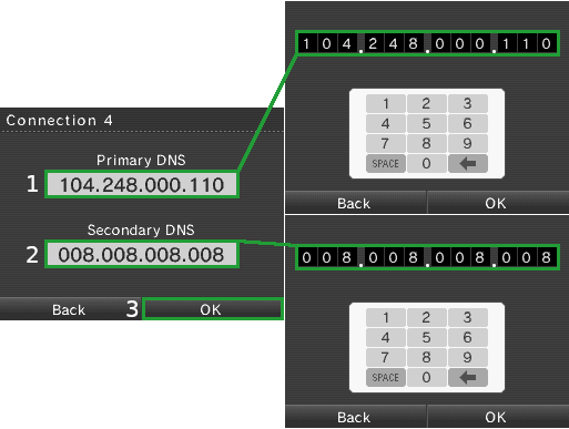 dns nintendo 3ds